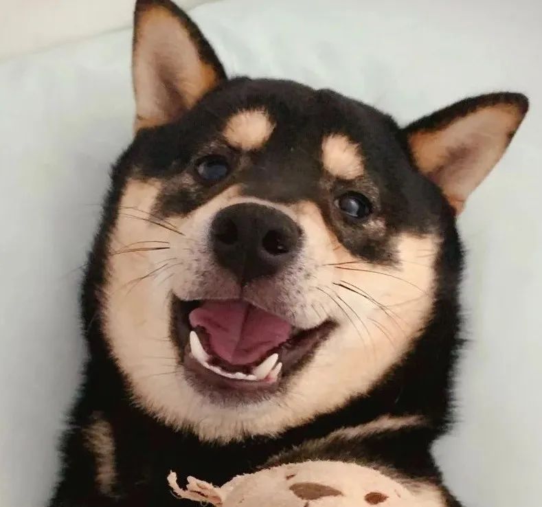 DƬ